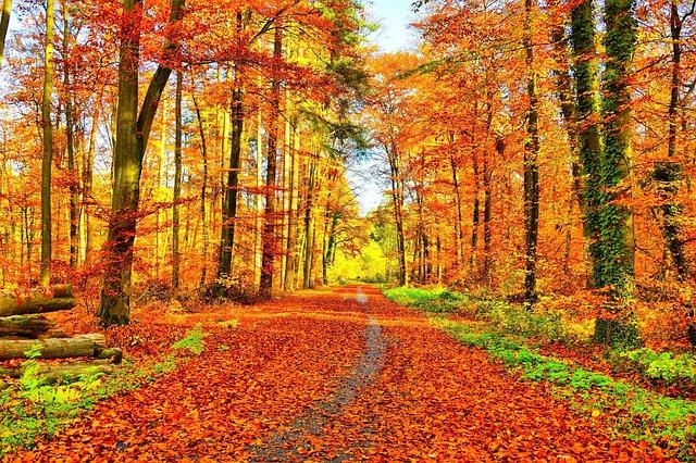 Herbstferien 26.10 - 1.11.2026